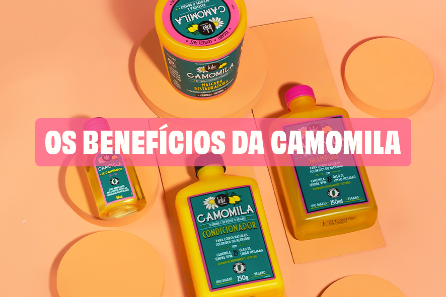 Camomila: Essa flor é poderosa! 🌼