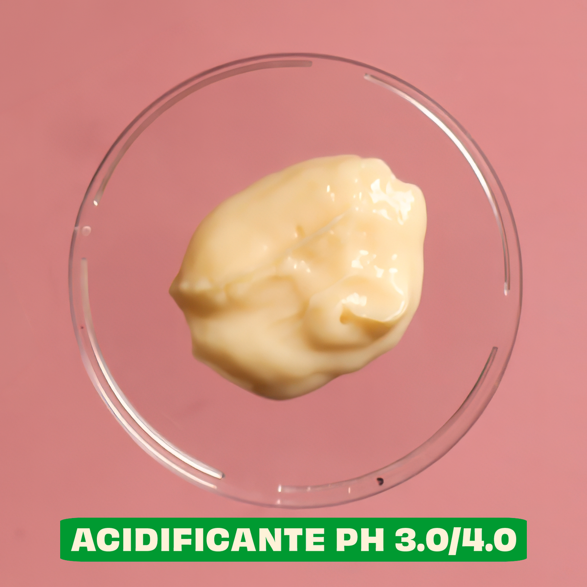 Kit Densidade - Linha Completa