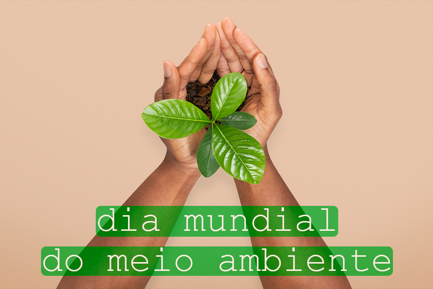 05/06 - Dia do Meio Ambiente e você sabe o porquê é importante celebrar?