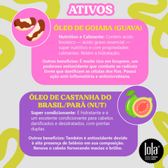 idworks|variantid=53790867816632|url=https://public.idworks.com.br/Image/11053975.png