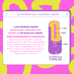idworks|variantid=53790867947704|url=https://public.idworks.com.br/Image/11054567.png